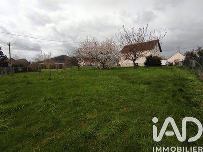 /international/fr/mons-en-montois-ile-de-france-310106935455/