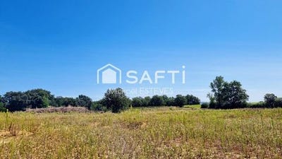 /international/fr/savenes-midi-pyrenees-310100794845/