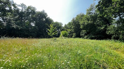 /international/fr/medis-charente-310106132144/