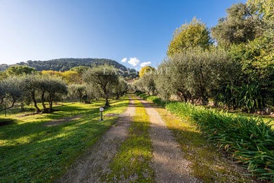 /international/fr/mouans-sartoux-provence-alpes-cote-d-azur-310101229668/?lang=zh-cn