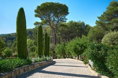 /international/fr/cabris-provence-alpes-cote-d-azur-310108974390/