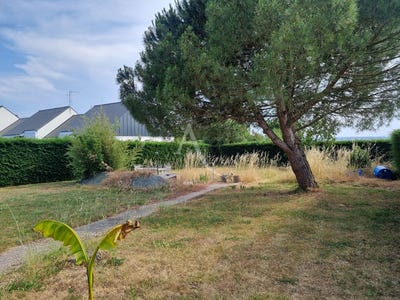/international/fr/champtoce-sur-loire-pays-de-la-loire-310107520676/