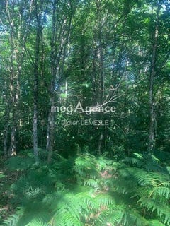 /international/fr/bauge-en-anjou-pays-de-la-loire-310101445857/