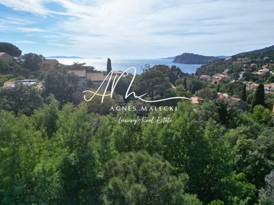 /international/fr/rayol-canadel-sur-mer-provence-alpes-cote-d-azur-310108954040/