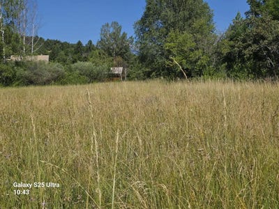 /international/fr/crots-provence-alpes-cote-d-azur-310109481205/