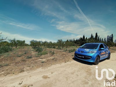 /international/fr/pia-corsica-310093876032/