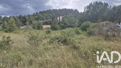 /international/fr/roquefort-des-corbieres-languedoc-roussillon-310108555629/