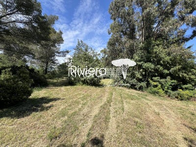 /international/fr/la-croix-valmer-provence-alpes-cote-d-azur-310108429535/