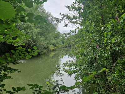 /international/fr/champagne-pays-de-la-loire-310102482482/