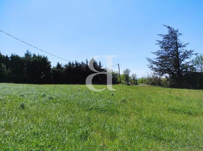 /international/fr/visan-provence-alpes-cote-d-azur-310109099348/