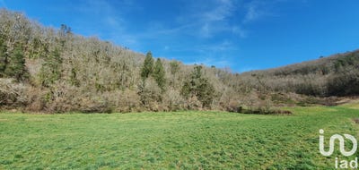 /international/fr/monceaux-sur-dordogne-limousin-310101157600/
