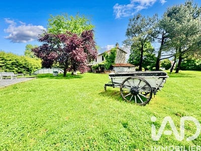 /international/fr/saint-romain-le-puy-rhone-310107966913/