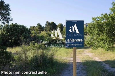 /international/fr/saint-remy-de-provence-provence-alpes-cote-d-azur-310107322431/
