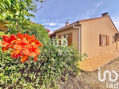 /international/fr/thuir-languedoc-roussillon-310101131990/?lang=en