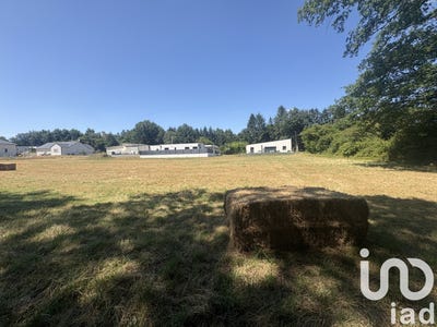 /international/fr/chateaubriant-pays-de-la-loire-310104860565/