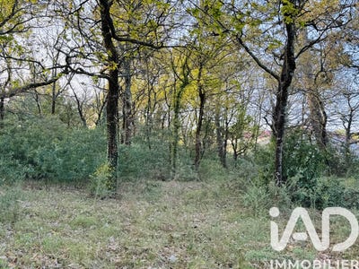 /international/fr/soulac-sur-mer-aquitaine-310106935013/
