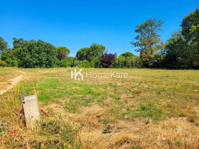 /international/fr/castelginest-midi-pyrenees-310109576181/