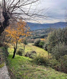 /international/fr/saint-julien-rhone-310107490909/