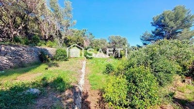 /international/fr/ollioules-provence-alpes-cote-d-azur-120096354081/