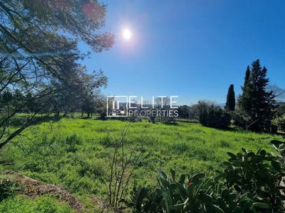 /international/fr/grasse-provence-alpes-cote-d-azur-310101208656/