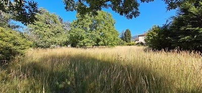 /international/fr/mazamet-midi-pyrenees-310108841993/