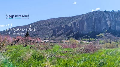 /international/fr/les-mees-provence-alpes-cote-d-azur-310108728887/