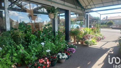 /international/fr/saint-magne-de-castillon-aquitaine-310100953711/