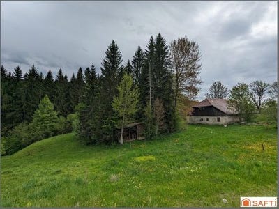 /international/fr/foncine-le-haut-franche-comte-310102989416/