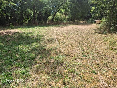 /international/fr/l-isle-jourdain-charente-310109235087/