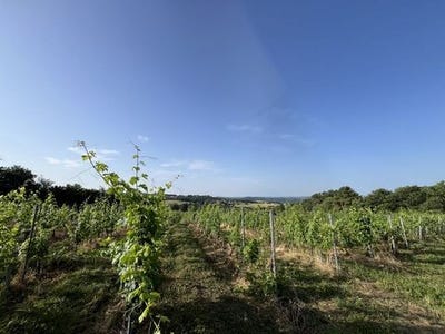 /international/fr/puy-d-arnac-limousin-310105969321/