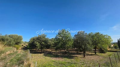 /international/fr/tavernes-provence-alpes-cote-d-azur-310106295221/