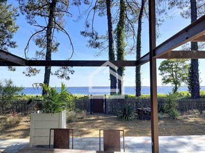 /international/fr/lacanau-aquitaine-310108837450/