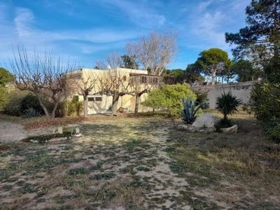 /international/fr/le-barcares-languedoc-roussillon-310106997346/
