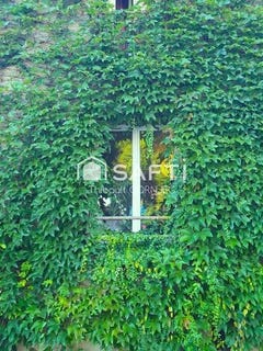 /international/fr/champagne-sur-seine-ile-de-france-310107838671/