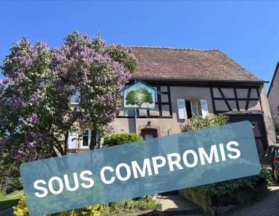 /international/fr/la-petite-pierre-alsace-310103803819/