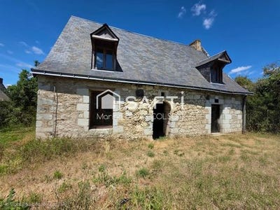 /international/fr/maze-milon-pays-de-la-loire-310109225170/