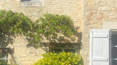 /international/fr/rivieres-charente-310100493648/