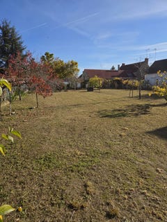 /international/fr/saint-laurent-nouan-centre-val-de-loire-310101970967/