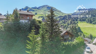 /international/fr/le-grand-bornand-rhone-310109128342/