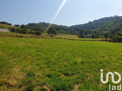 /international/fr/campouriez-midi-pyrenees-310101228964/