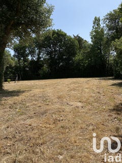 /international/fr/les-sables-d-olonne-pays-de-la-loire-310106412733/