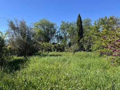 /international/fr/trausse-languedoc-roussillon-310107375403/