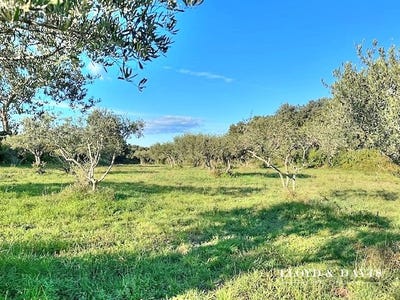 /international/fr/uzes-aquitaine-310106576297/