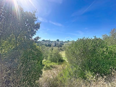 /international/fr/grasse-provence-alpes-cote-d-azur-310110262155/