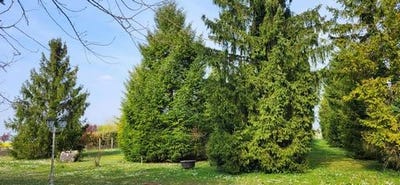 /international/fr/beauce-la-romaine-centre-val-de-loire-310107238106/