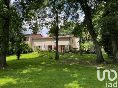 /international/fr/eauze-midi-pyrenees-310099780617/
