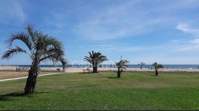 /international/fr/st-cyprien-languedoc-roussillon-310101382366/?lang=zh-tw