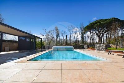 /international/fr/albias-midi-pyrenees-310106711973/