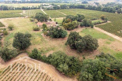 /international/fr/eauze-midi-pyrenees-310097626536/