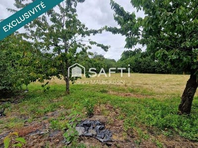 /international/fr/grand-auverne-pays-de-la-loire-310108595261/